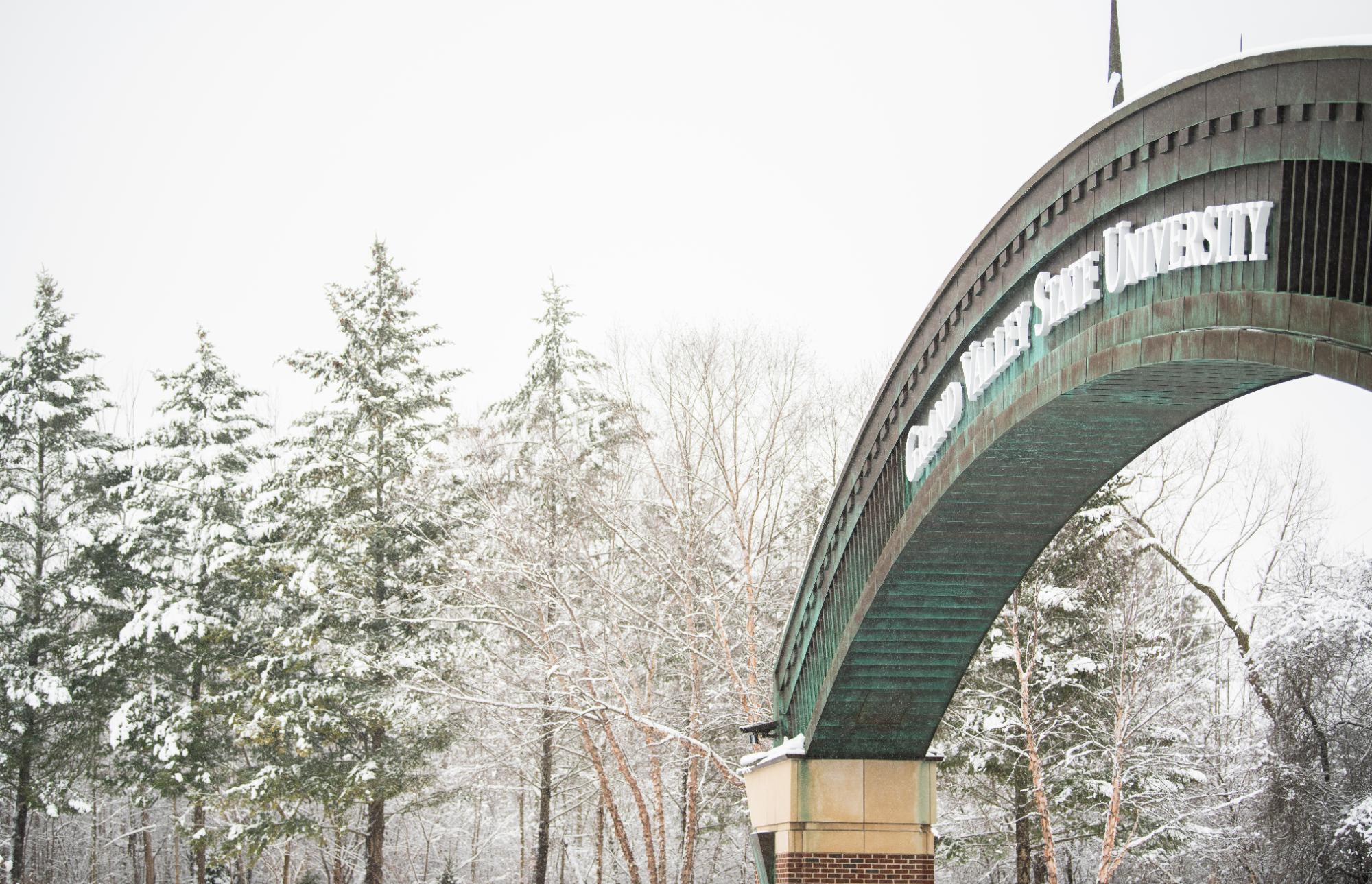 Snow in the trees